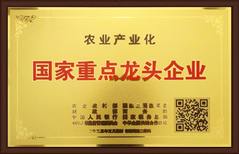 國家重點龍頭企業